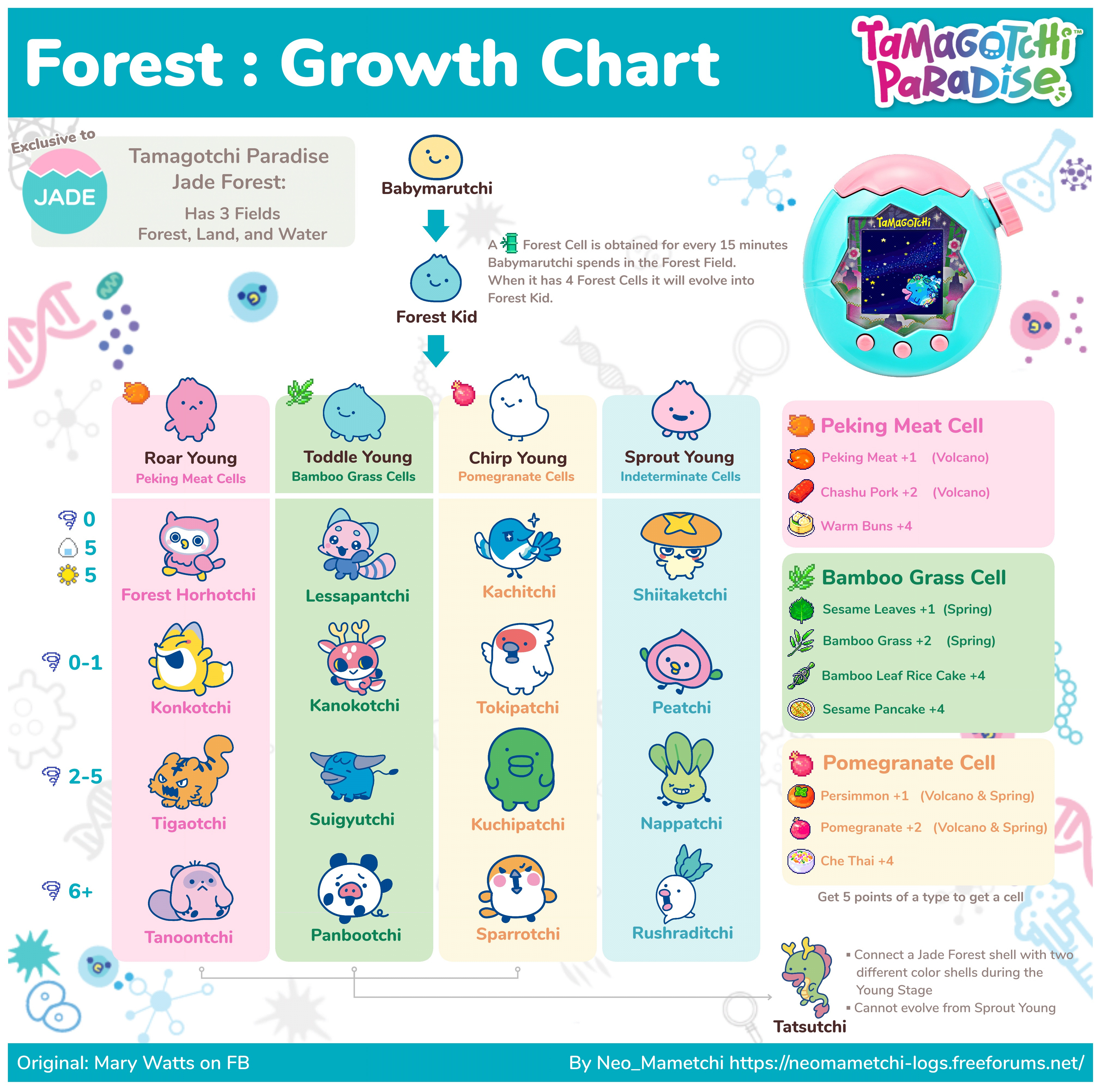 Forest Paradise Growth Chart